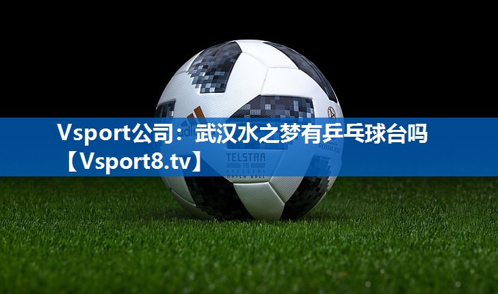 Vsport公司：武汉水之梦有乒乓球台吗