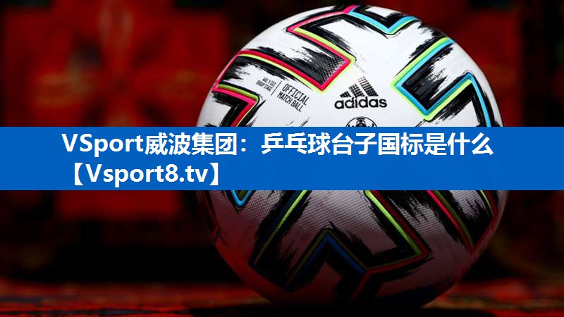 VSport威波集团：乒乓球台子国标是什么