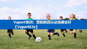 <strong>Vsport集团：塑胶跑道运动场哪家好</strong>