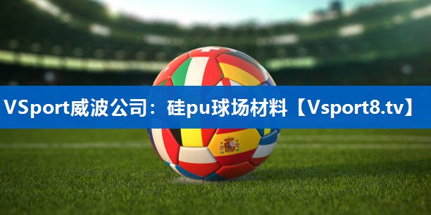 <strong>VSport威波公司：硅pu球场材料</strong>
