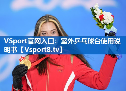 <strong>VSport官网入口：室外乒乓球台使用说明书</strong>
