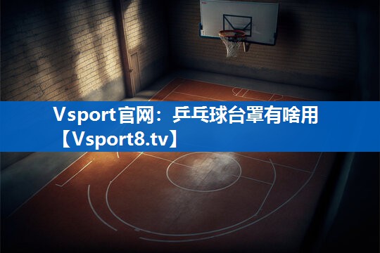 Vsport官网：乒乓球台罩有啥用