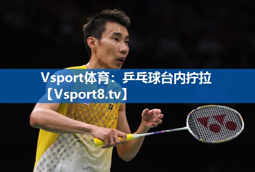 Vsport体育：乒乓球台内拧拉