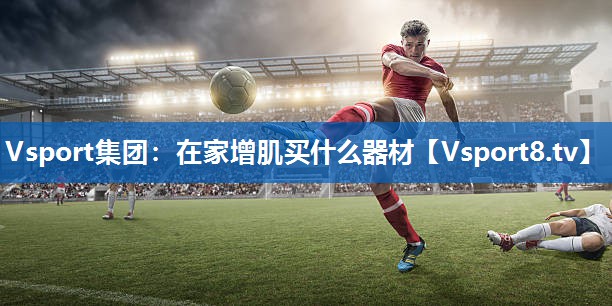 Vsport集团：在家增肌买什么器材