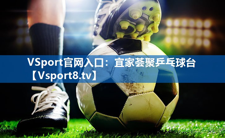 VSport官网入口：宜家荟聚乒乓球台