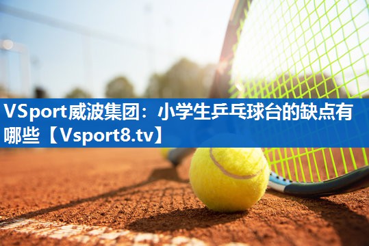 VSport威波集团：小学生乒乓球台的缺点有哪些
