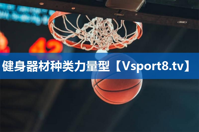 健身器材种类力量型
