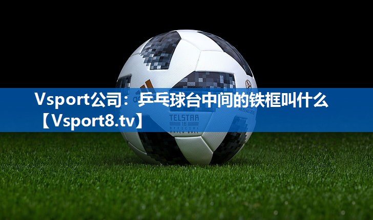 乒乓球台中间的铁框叫什么