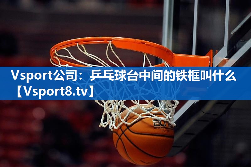 乒乓球台中间的铁框叫什么