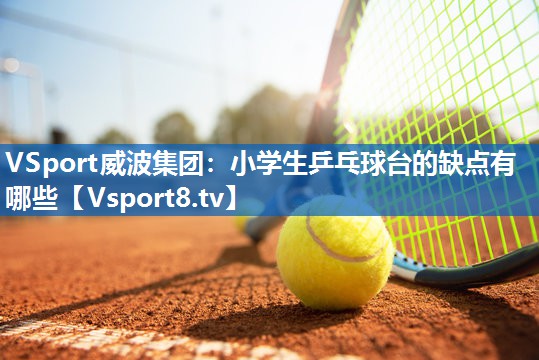 小学生乒乓球台的缺点有哪些